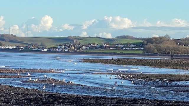 Rolling Exmoor hills and farmland